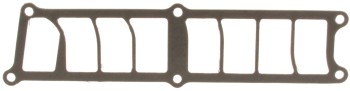 Fuel Injection Plenum Gasket