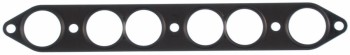 Fuel Injection Plenum Gasket