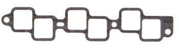 Fuel Injection Plenum Gasket