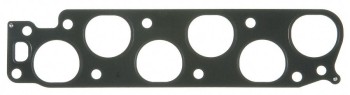 Fuel Injection Plenum Gasket
