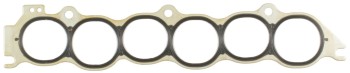Fuel Injection Plenum Gasket