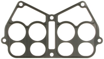 Fuel Injection Plenum Gasket