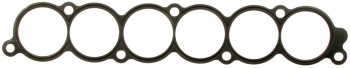 Fuel Injection Plenum Gasket