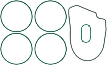 Engine Intake Manifold Gasket Set