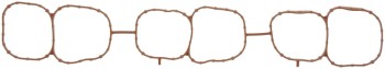Fuel Injection Plenum Gasket