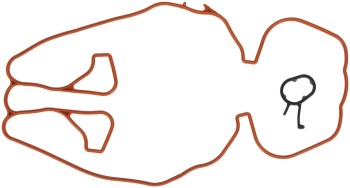 Engine Intake Manifold Gasket Set