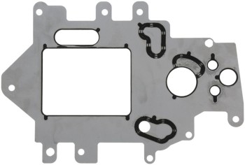 Fuel Injection Plenum Gasket