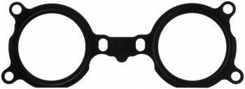 Fuel Injection Plenum Gasket