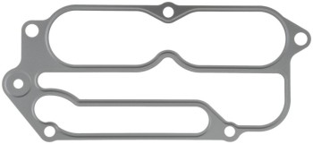 Fuel Injection Plenum Gasket