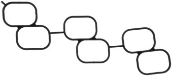 Fuel Injection Plenum Gasket