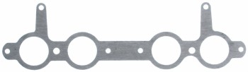 Fuel Injection Plenum Gasket
