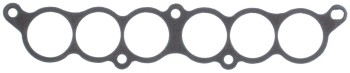 Fuel Injection Plenum Gasket