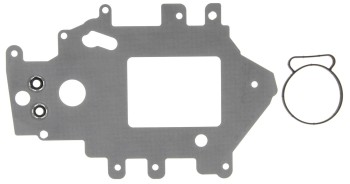 Fuel Injection Plenum Gasket
