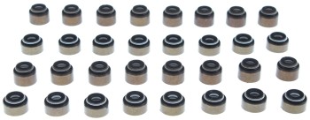 Engine Valve Stem Oil Seal Set