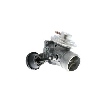 Exhaust Gas Recirculation (EGR) Valve