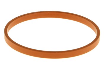 Exhaust Gas Recirculation (EGR) Valve Gasket