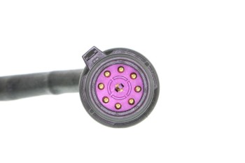 Neutral Safety Switch