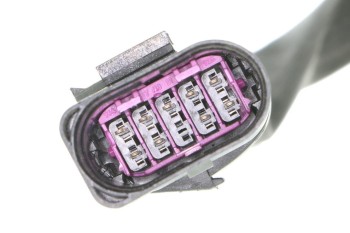 Multi-Function Switch