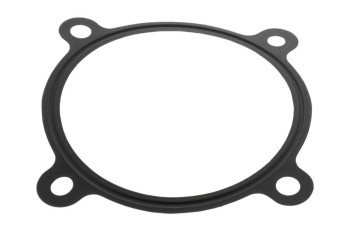 Fuel Injection Throttle Body Mounting Gasket