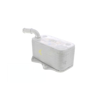 Engine Oil Cooler