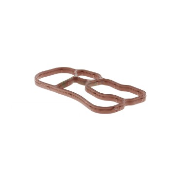 Engine Oil Cooler Gasket