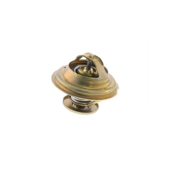 Engine Coolant Thermostat