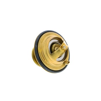 Engine Coolant Thermostat