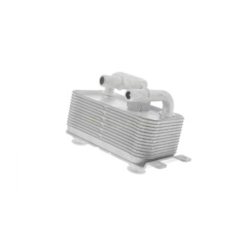 Engine Oil Cooler