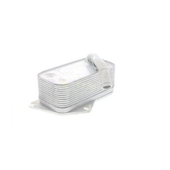 Engine Oil Cooler
