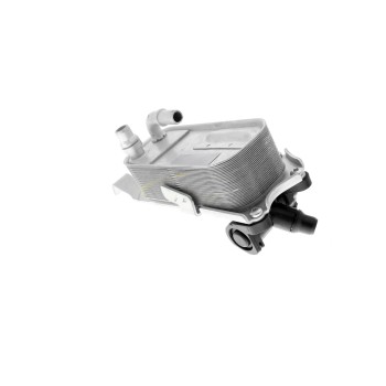 Engine Oil Cooler