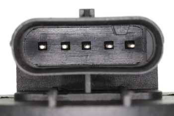 Exhaust Gas Recirculation (EGR) Valve