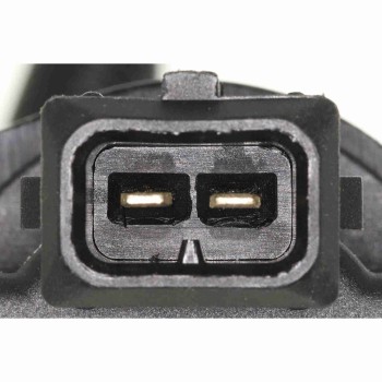 Vapor Canister Purge Valve