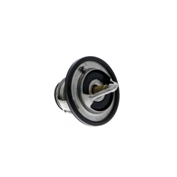 Engine Coolant Thermostat