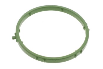 Fuel Injection Throttle Body Mounting Gasket