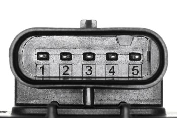 Exhaust Gas Recirculation (EGR) Valve