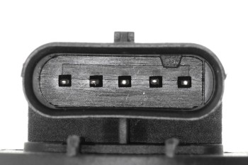 Exhaust Gas Recirculation (EGR) Valve