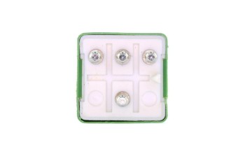 Secondary Air Injection Pump Relay