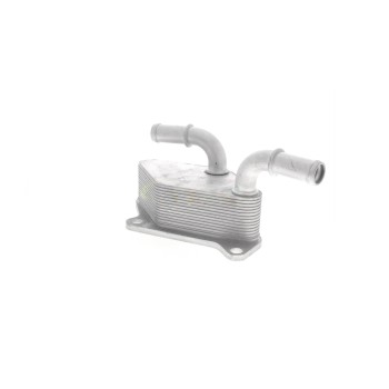 Engine Oil Cooler