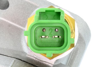 Engine Coolant Thermostat