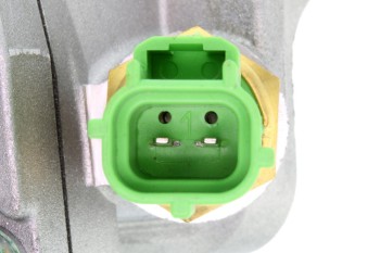 Engine Coolant Thermostat