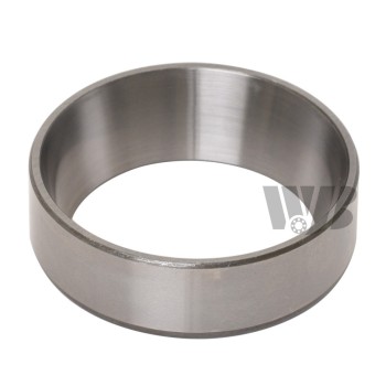 Differential Pinion Race