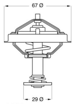 Engine Coolant Thermostat