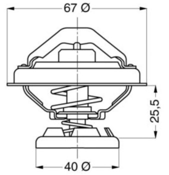Engine Coolant Thermostat