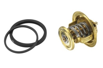 Engine Coolant Thermostat