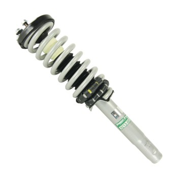 Suspension Strut and Coil Spring Assembly