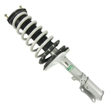 Suspension Strut and Coil Spring Assembly