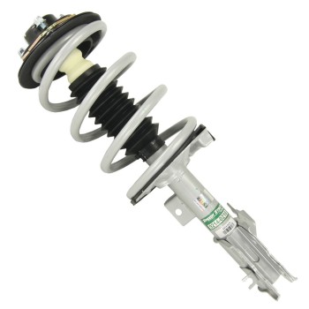 Suspension Strut and Coil Spring Assembly