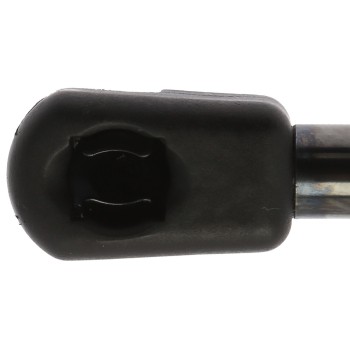 Liftgate Lift Support