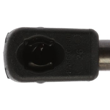 Liftgate Lift Support