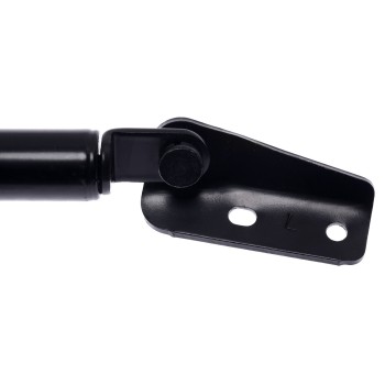 Liftgate Lift Support